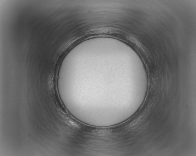 X0000073970778200609111741