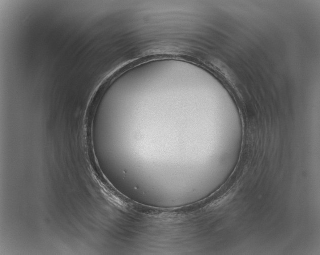 X0000073970779200609111741