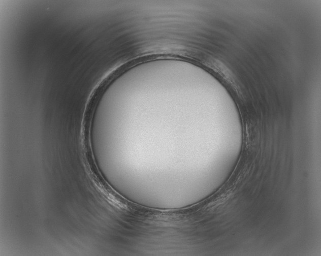 X0000073970780200609111741