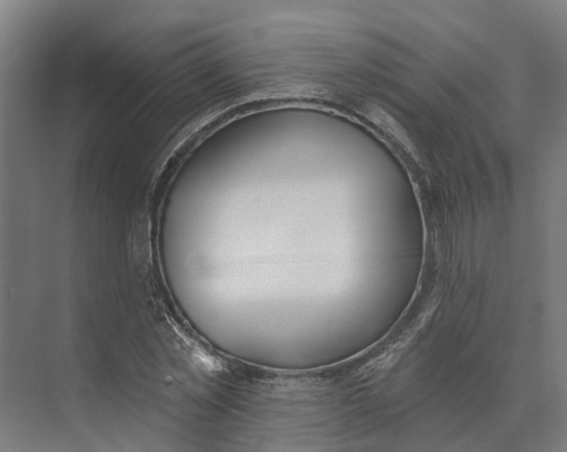 X0000073970781200609111741