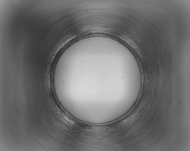 X0000073970782200609111741