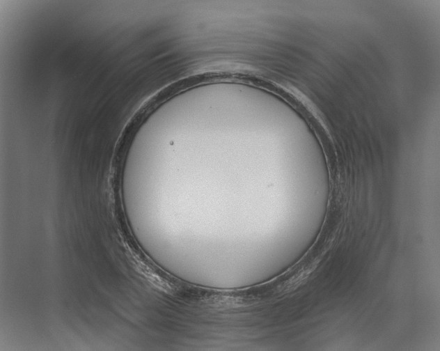 X0000073970783200609111741