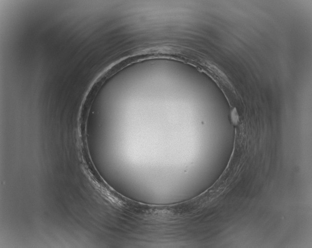 X0000073970784200609111741