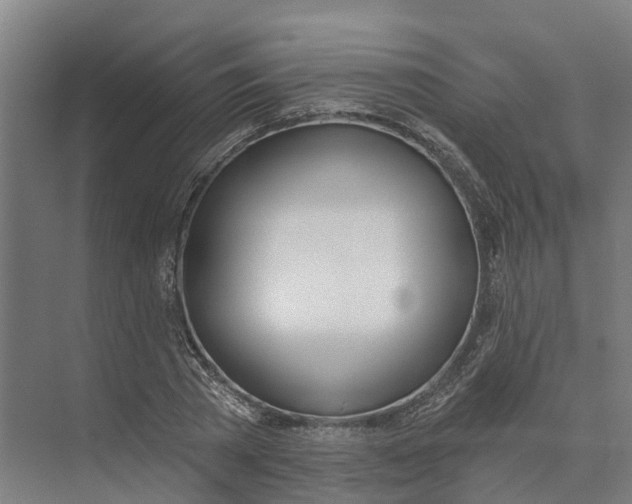 X0000073970785200609111741