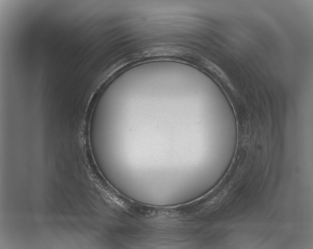 X0000073970786200609111741