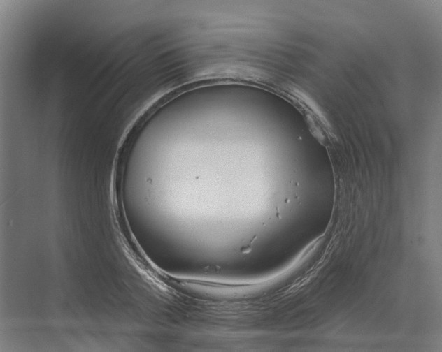 X0000073970788200609111741