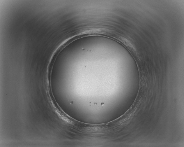 X0000073970792200609111741