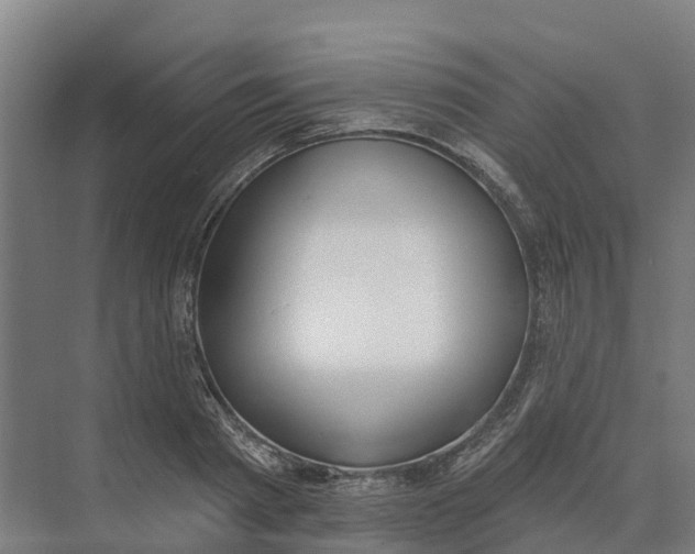 X0000073970793200609111741