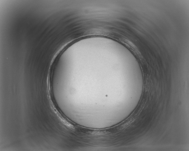 X0000073970796200609111741