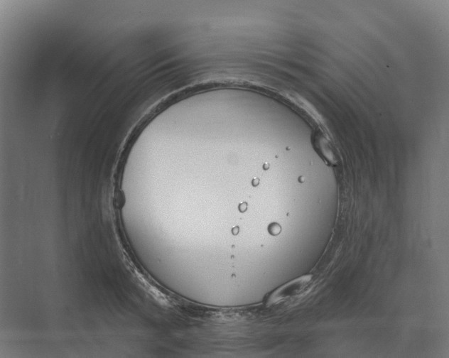 X0000073970799200609111740