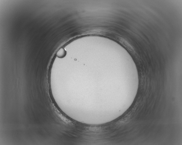 X0000073970800200609111740