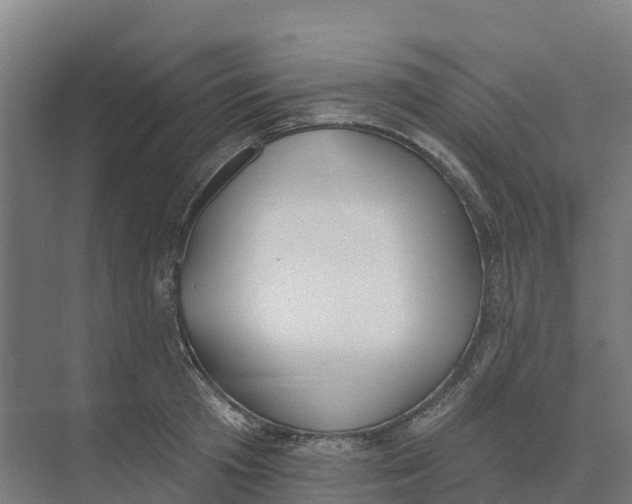 X0000073970801200609111740