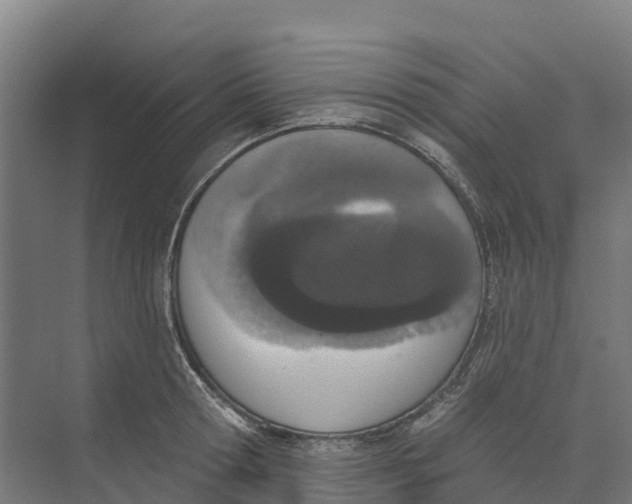 X0000073970802200609111740