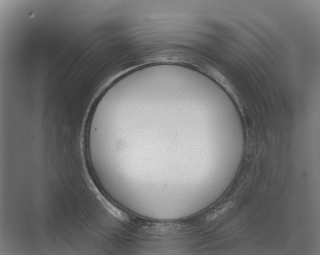 X0000073970803200609111740