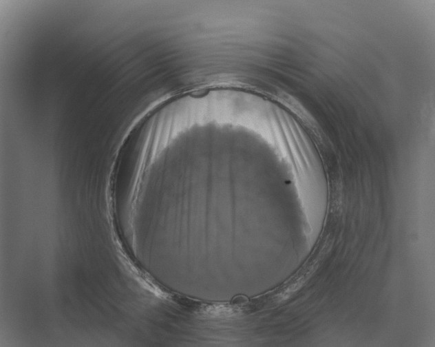 X0000073970806200609111740