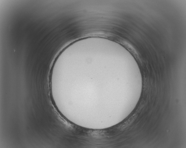 X0000073970808200609111740