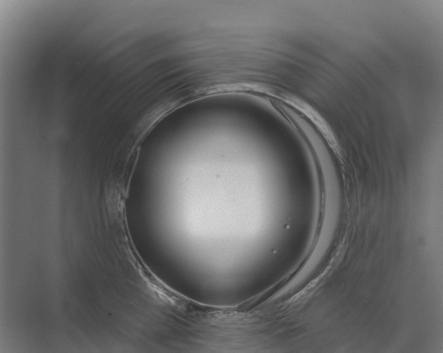 X0000073970809200609111740