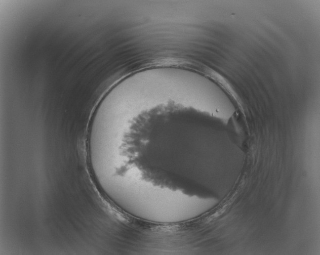 X0000073970810200609111740