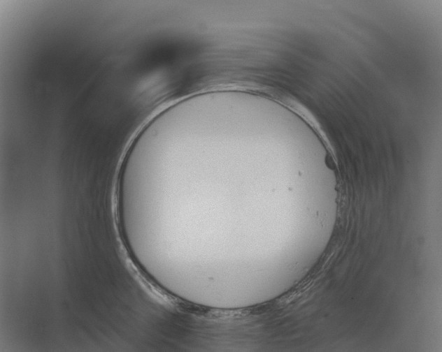 X0000073970811200609111740