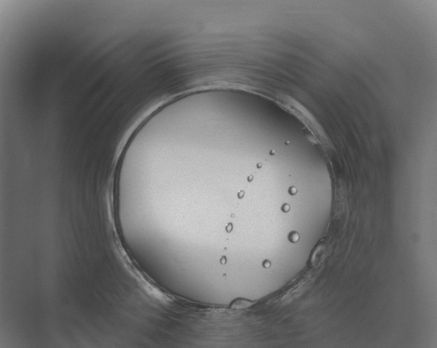 X0000073970812200609111740