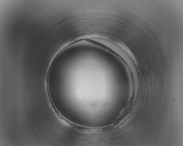 X0000073970813200609111740