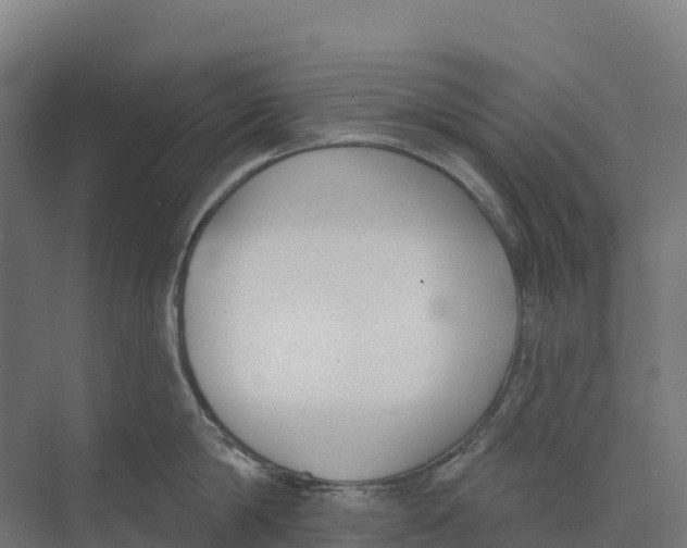 X0000073970814200609111740