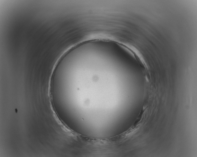 X0000073970815200609111740