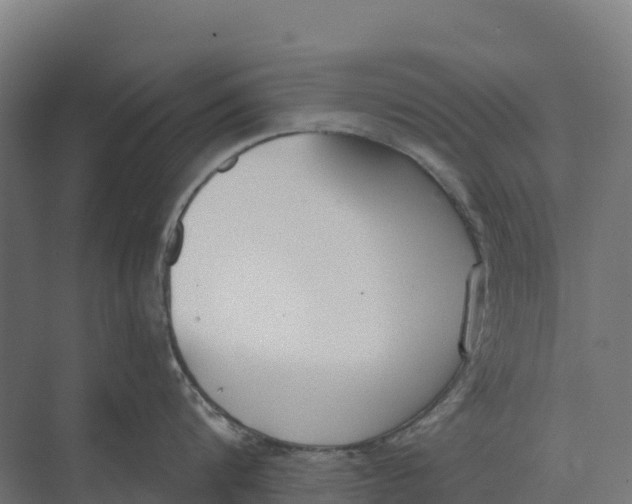 X0000073970816200609111740