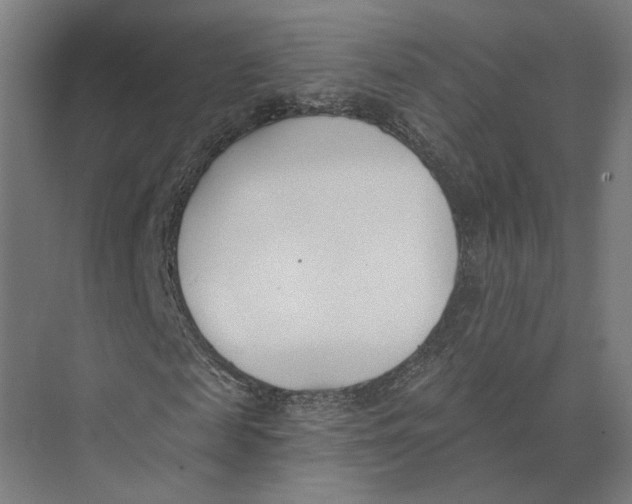 X0000073970817200609111739