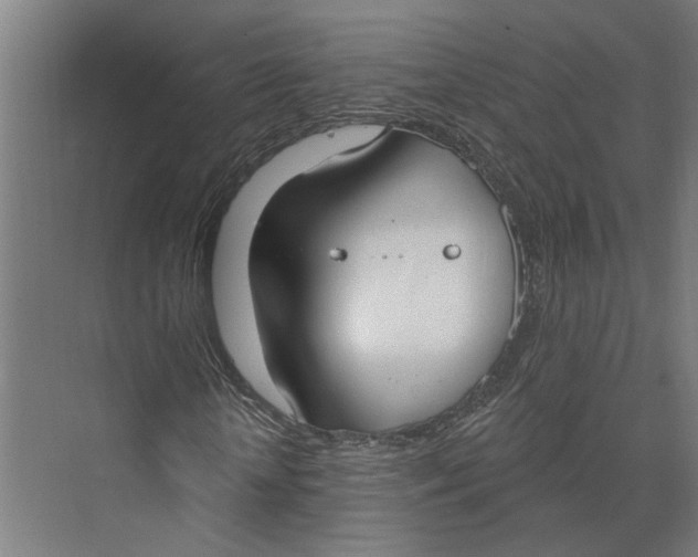 X0000073970818200609111739