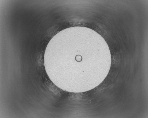 X0000073970820200609111739