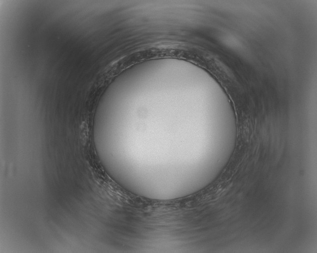 X0000073970821200609111739