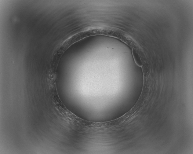 X0000073970822200609111739