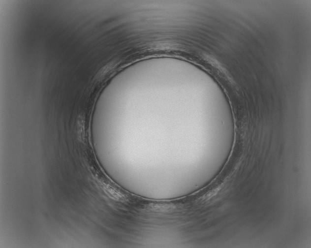 X0000073970825200609111740