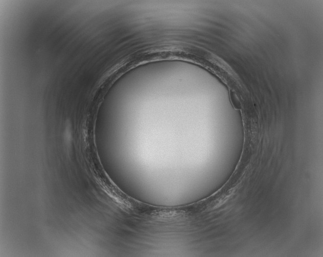 X0000073970826200609111740