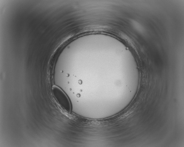 X0000073970827200609111740