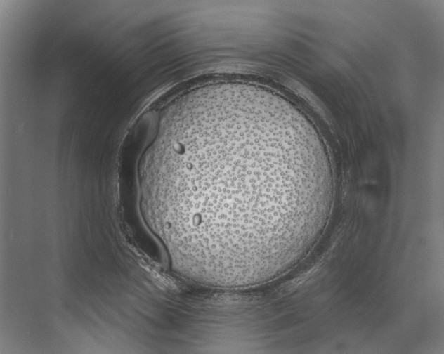 X0000073970829200609111740