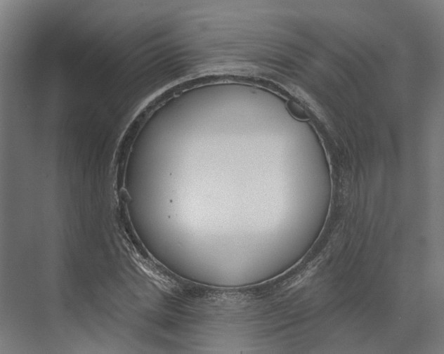 X0000073970830200609111740