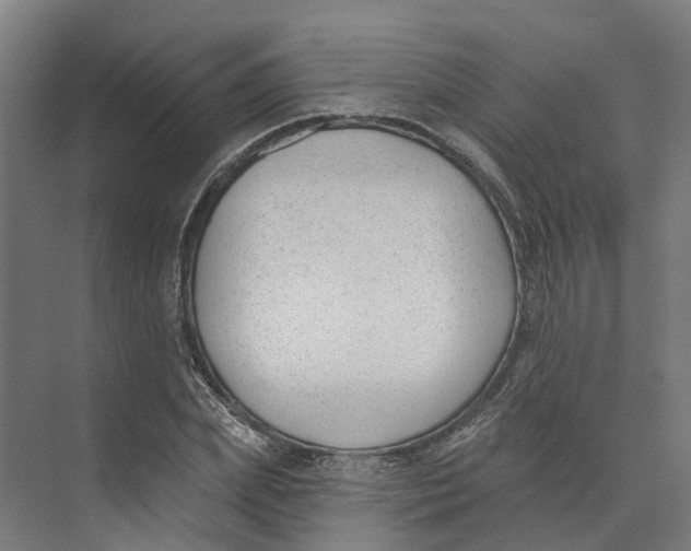 X0000073970831200609111740