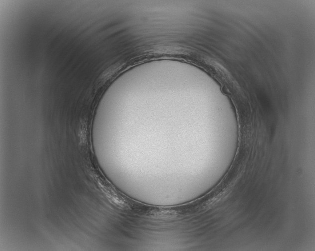 X0000073970833200609111740