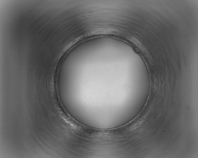 X0000073970834200609111740