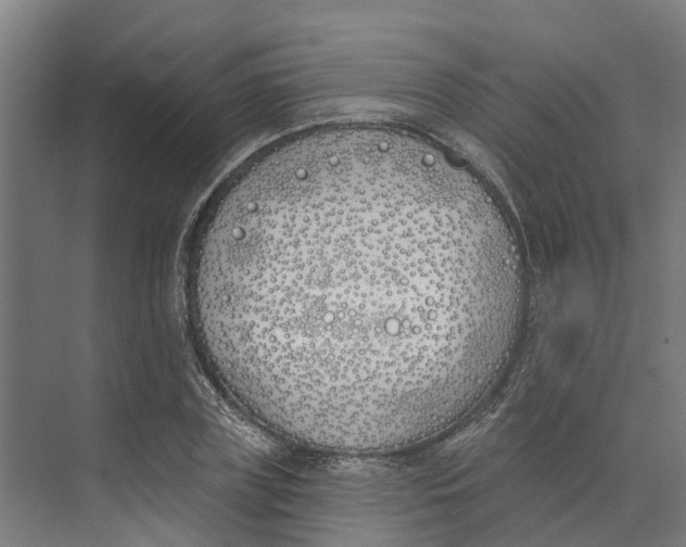 X0000073970835200609111740