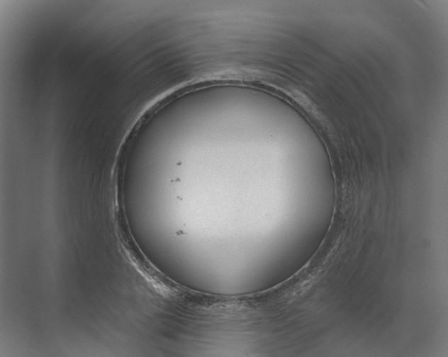 X0000073970838200609111740