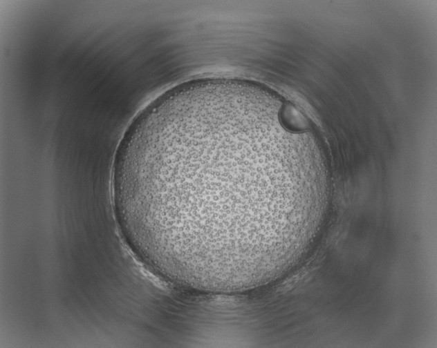 X0000073970839200609111740