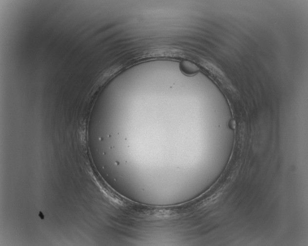 X0000073970841200609111740