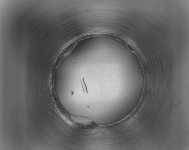 X0000073970842200609111740