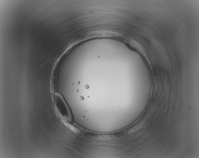 X0000073970843200609111740