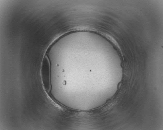 X0000073970847200609111740