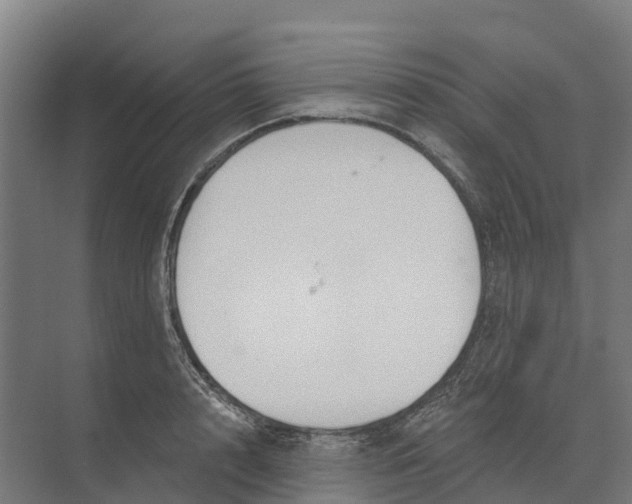 X0000073970848200609111740