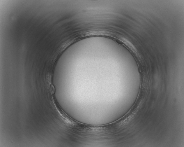 X0000073970849200609111740